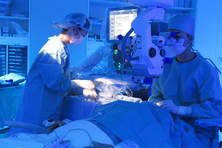 手術中の医師と患者の様子